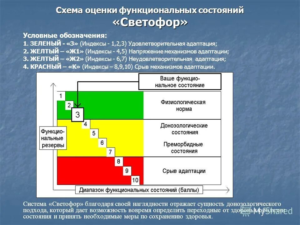 цшп мурманск движение средств по лицевому