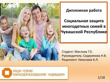 Социальные проекты для многодетных семей