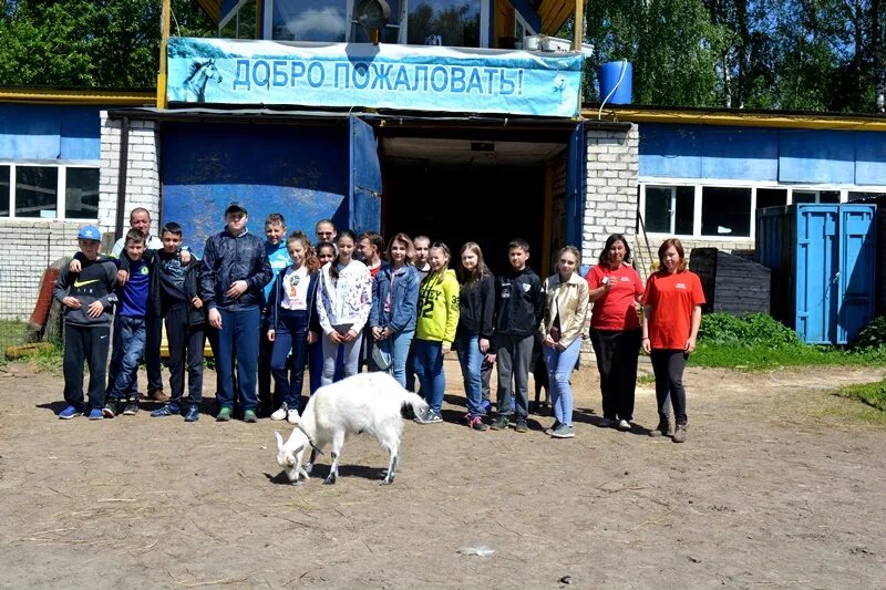 V camp. Восток-5 лагерь Пермь. Восток пять лагерь корпуса. Восток-5 2023 лагерь Пермь. Восток-5 лагерь около ускачки.