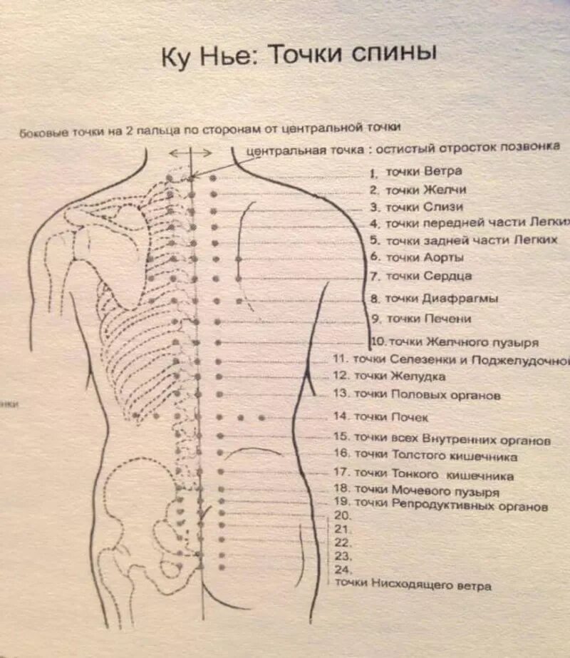 Точки после массажа. Акупунктура тела человека схема болевые точки. Точечный массаж спины схема точек. Точки на спине для массажа для расслабления мышц. Активные точки на спине акупунктура.