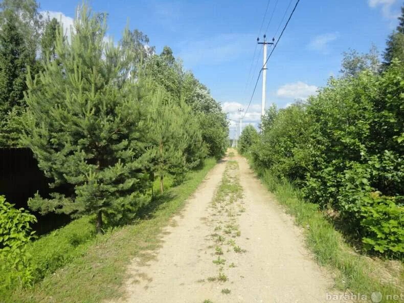 Снт дубки купить. Московский облость Толдомский район дер Дубки. Д Дубки Талдомский район. СНТ агат Талдомский район. Деревня Гуслево Талдомского района.