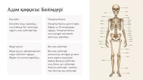 Кискасы бар адамның жаңа суреттері