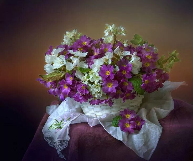 Примула первоцвет весенний букет. Фотонатюрморты Людмилы Бекман. Очаровательный букет. Нежный аромат весны