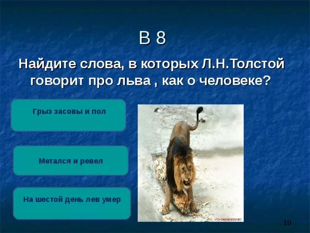 Лев и собачка тест с ответами. Основная мысль произведения лев и собачка. лев и собачка толстой основная мысль. слова в который л. н. толстой говорит про льва и собачку как о людях. л. н. толстой «лев и собачка» тест 3 класс.