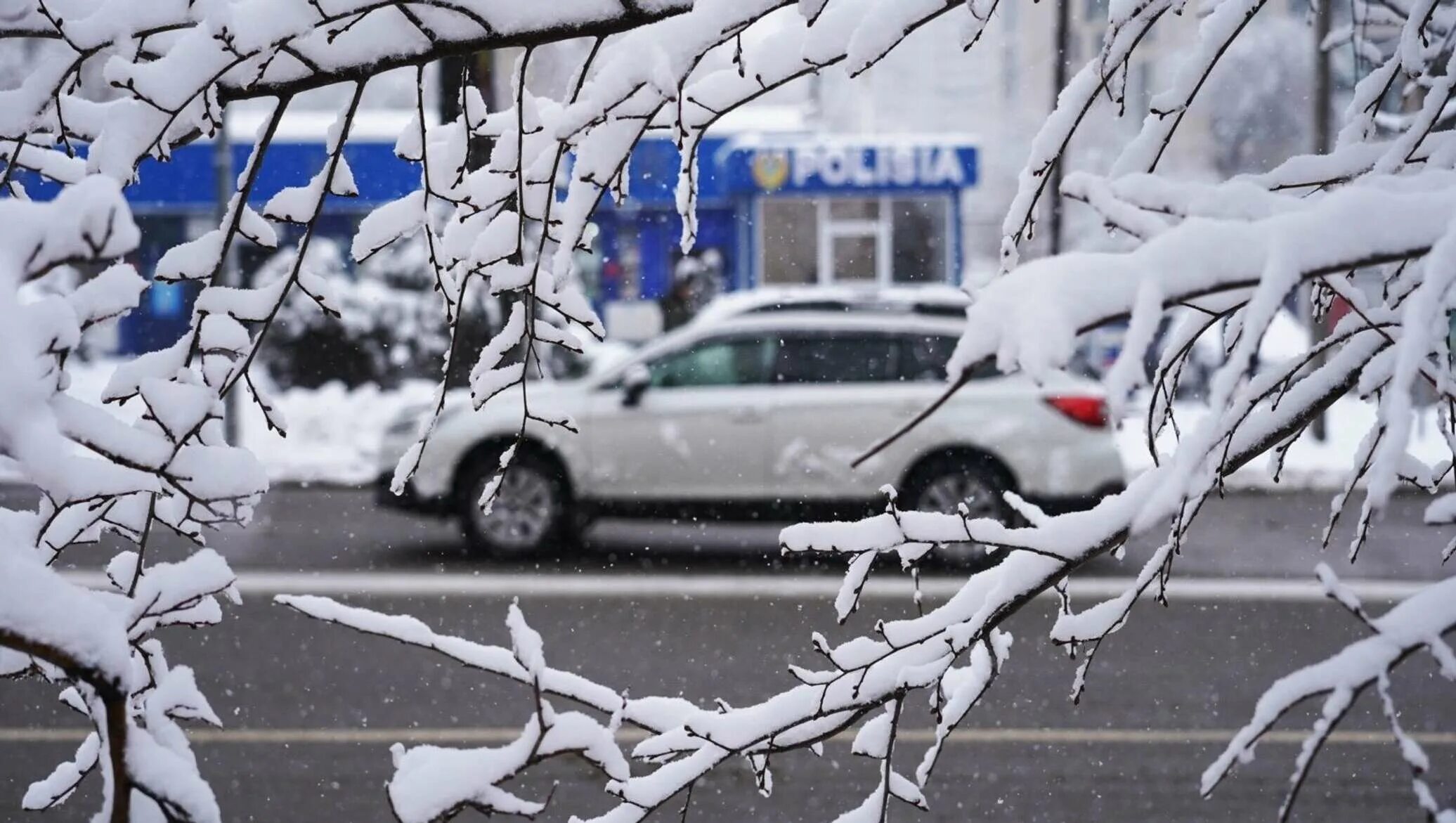 Погода в алматы в марте 2024 года. В Казахстане выпал снег. Осадки снег в Алматы. Алматы зима. Осадки зимой в Алматы.