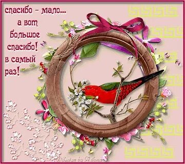 Сила большого спасибо