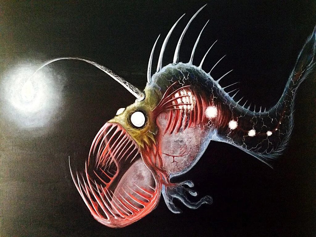 Angler fish