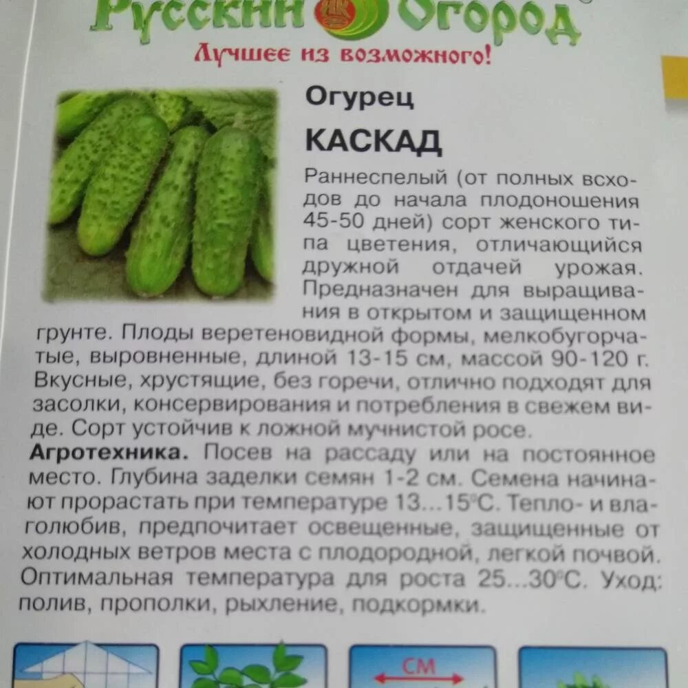 Огурец каскад описание