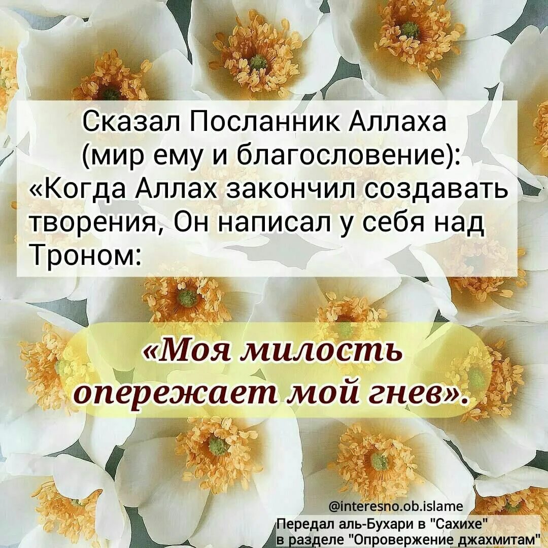 Благословение данные от сердца. Благословение аллаха. милость аллаха. милость всевышнего аллаха. посланник аллаха мир ему и благословение сказал.