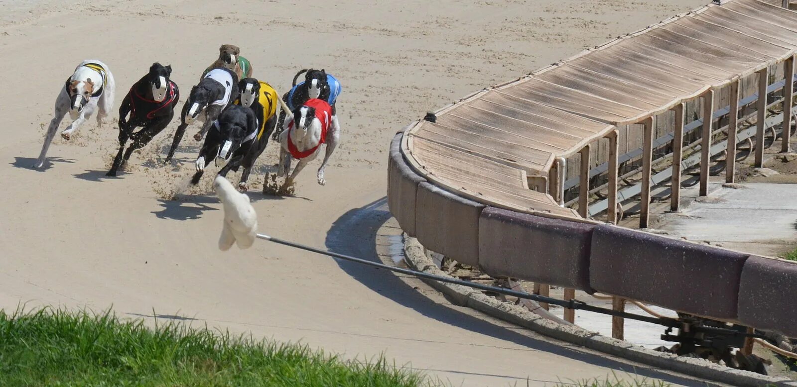 First around at. Гёбекли-тепе месопотамия. Скачки эстетика. Скачки старт. Мужчина оборачивается на женщину.