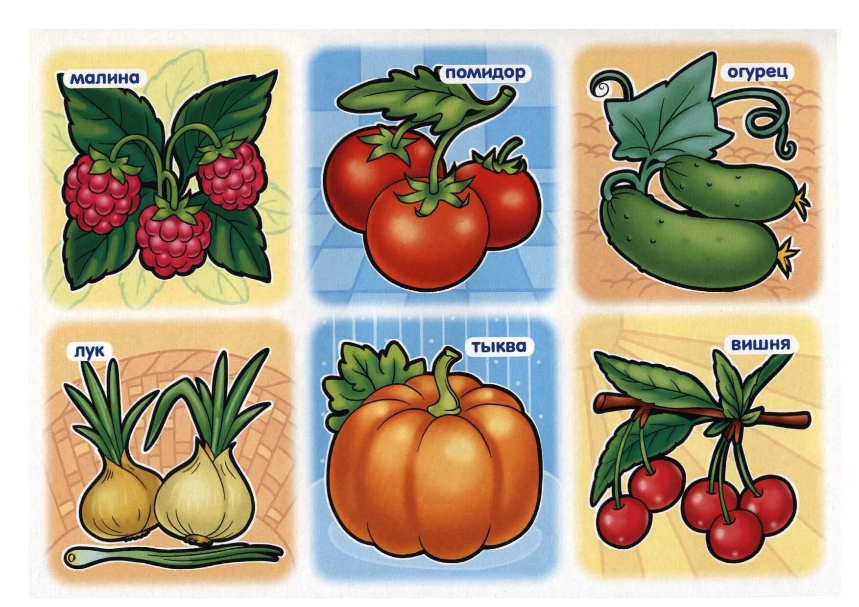 Картинка лото для детей. Лото фрукты для детей. Карточки с изображением овощей. Карточки "для дошкольников". Карточки овощи для детей.