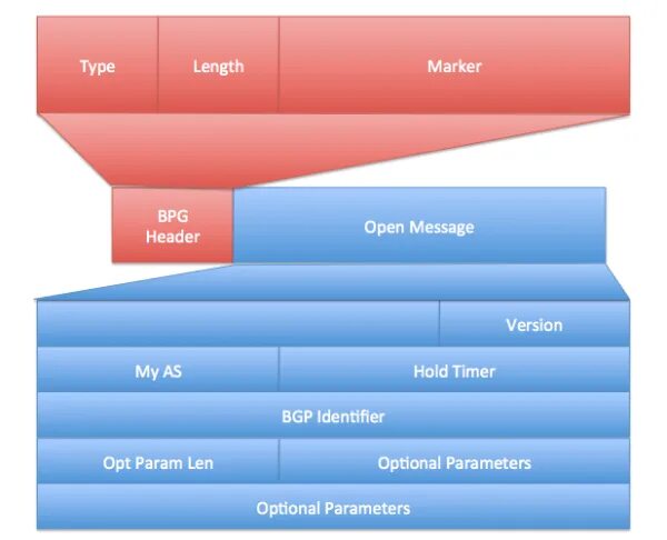 BGP пакет. Заголовок BGP. BGP Формат пакета. Пакет с хедером.