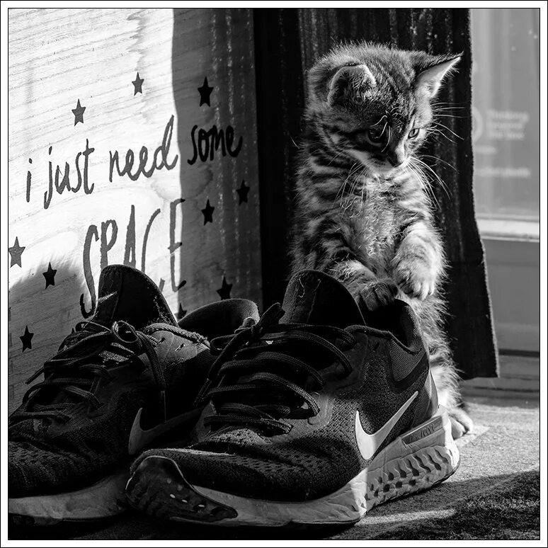 Introvert astrolog said she need some space joke. Jvke. Bbno$ & rich brian - edamame. Перевод фразы i need my space. I just need some space jvke.