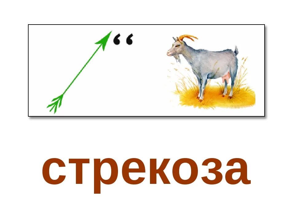 Ребус лук и морж ответ. Ребусы. ребусы про насекомых. ребус стрекоза. ребус для детей стрекоза.