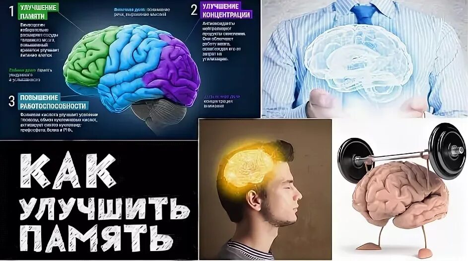 Как развить плохую память. Развивать мозг и память. как улучшить память. мозг память улучшить. методы улучшения памяти.