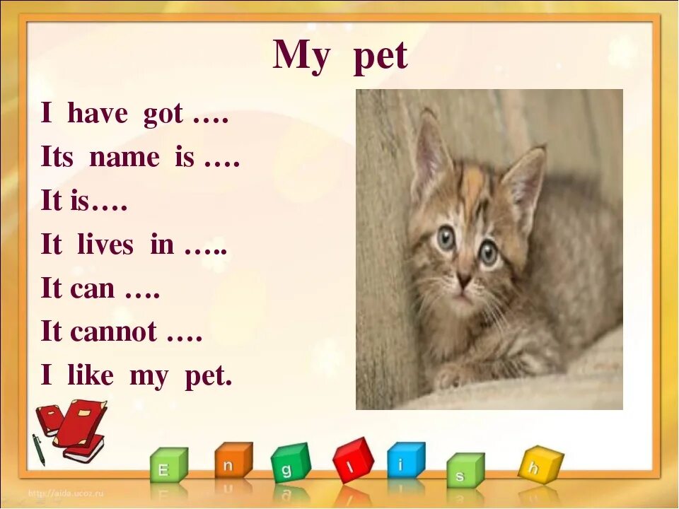 Have has two pets. Проект на английском языке. Проекты на тему my Pet. Проект по английскому языку. Домашний питомец на английском.