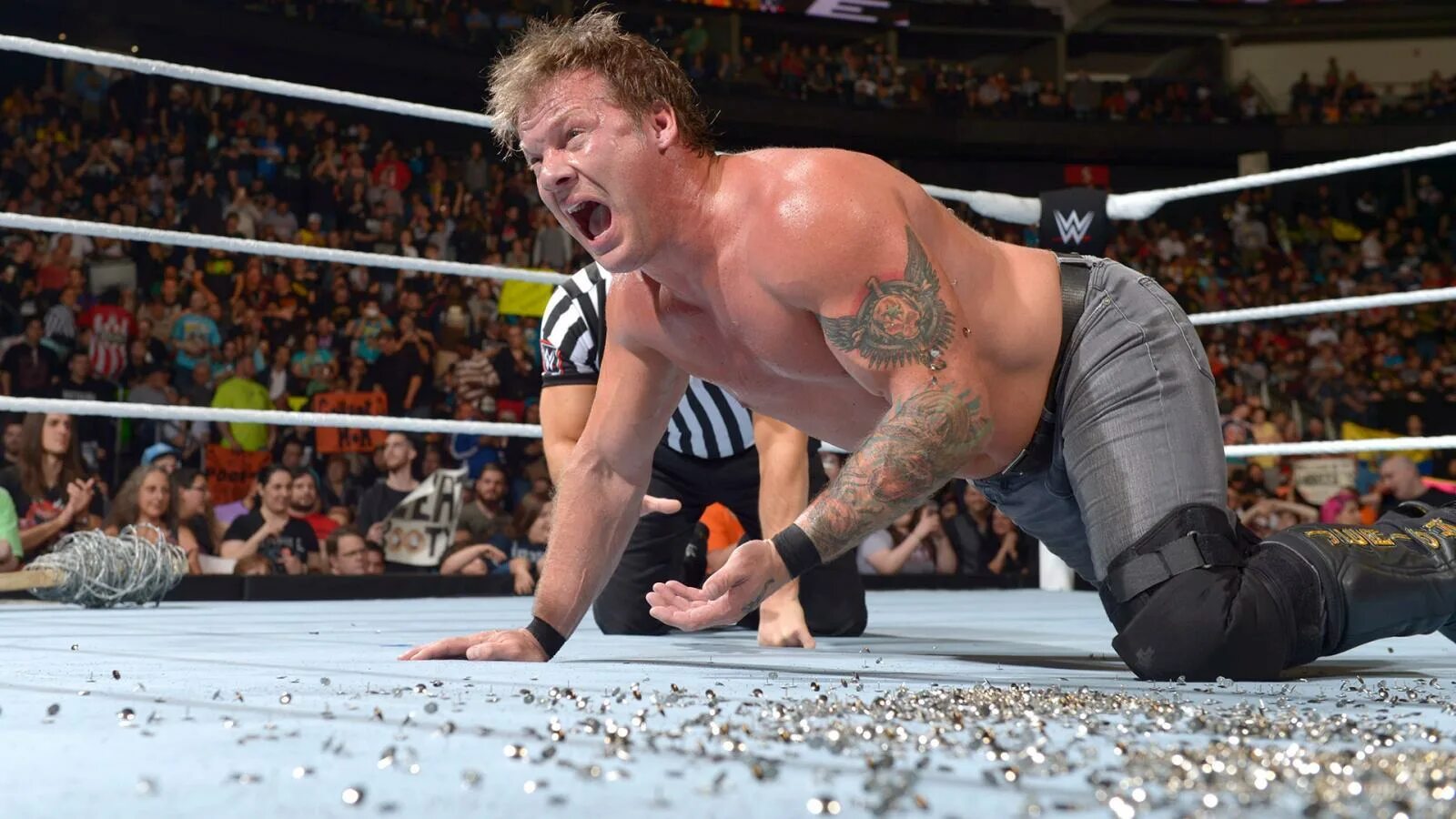 Фитсборн Джерико. Chris Jericho attires WWE.