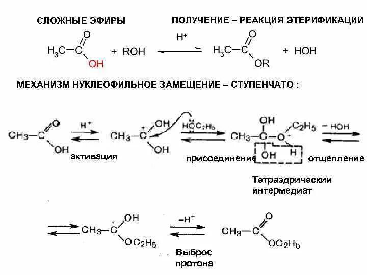 Реакция уксусной кислоты и метилового спирта. Механизм этерификации карбоновых кислот. Реакция этерификации карбоновых кислот механизм реакции. Реакция этерификации механизм реакции. Механизм этерификации уксусной кислоты.