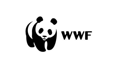 Wwf