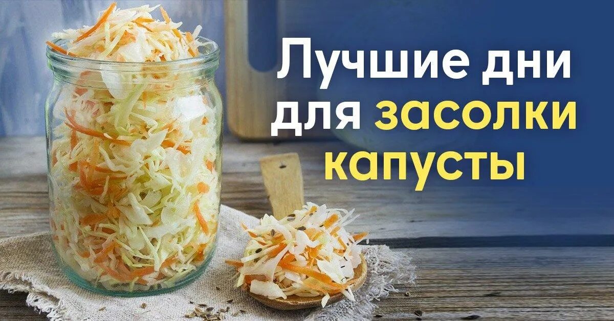 Квасить капусту луна. Когда квасить капусту. Пора квасить картинка. Когда солить капусту в октябре. Капуста квашеная Сокол.