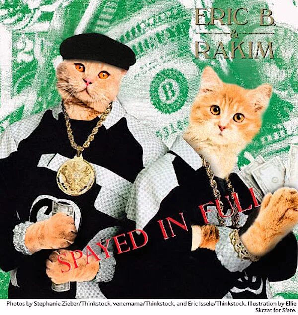 Кот репер. Коты рэперы. кот рэпер. кошачий рэп. кот хип хоп.