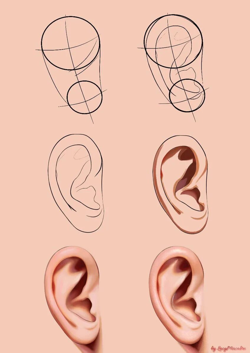 Рисования поэтапно ухо. Как нарисовать ребенку уху. Ухо рисунок. Ухо рисунок для детей. Рисования поэтапно ухо.