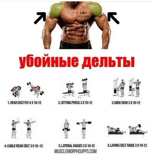 Лучшее на среднюю дельту. Упражнения на дельты в тренажерном зале для мужчин. упражнения на дельты в тренажерном зале для мужчин лучшие. самые лучшие упражнения на дельту. эффективные упражнения на дельты.