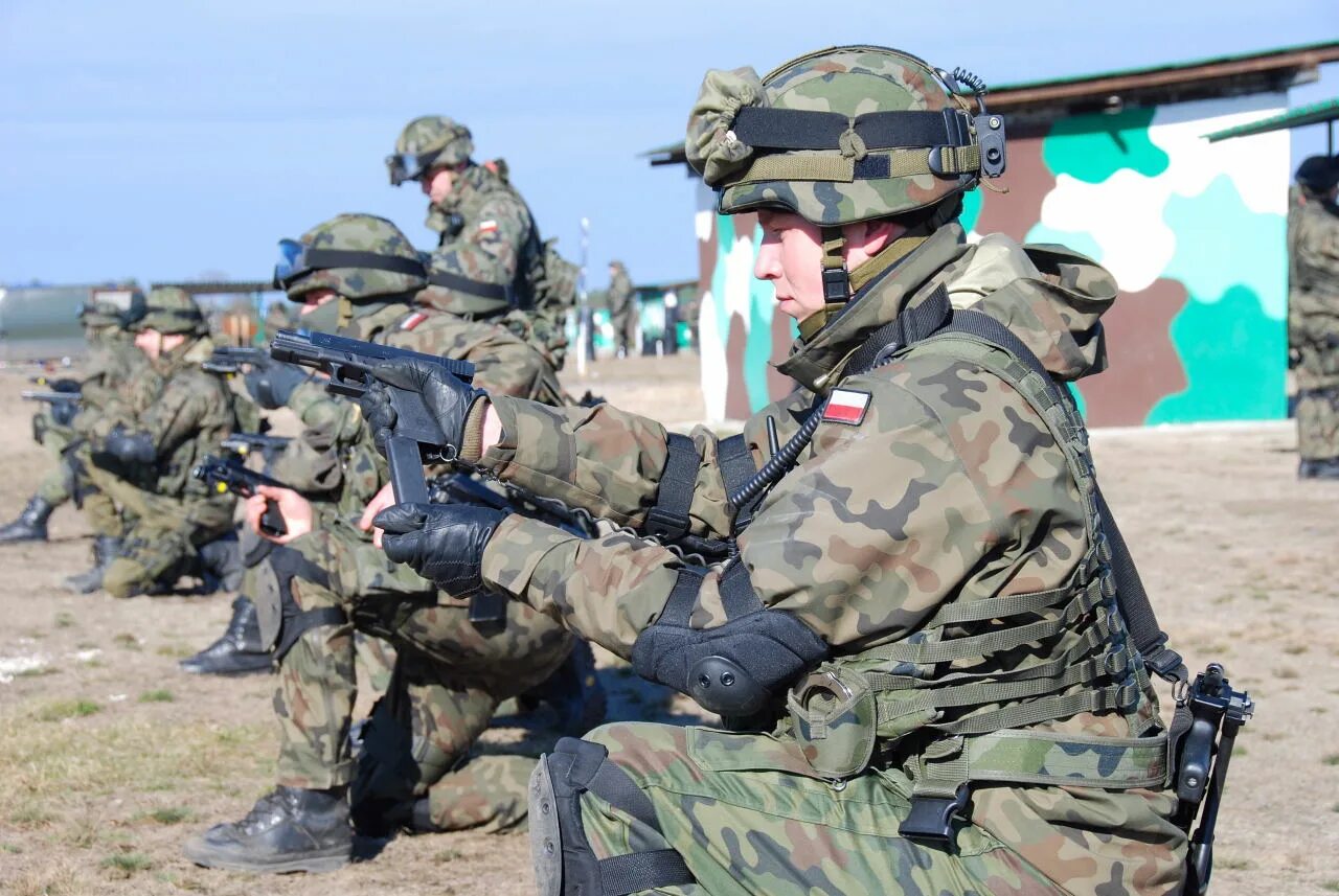 Войска румынии и польши. Польша нато. Войска румынии и польши. Войска румынии и польши. Вс румынии.