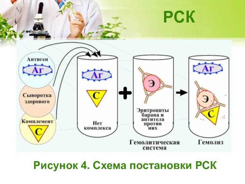 Схема постановки РСК. Реакция связывания комплемента РСК. РСК рисунок. Реакция связывания комплемента схема. Рск дист