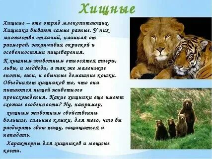 Хищническое отношение