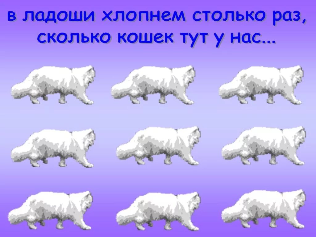 Сколько раз увидишь его столько. Столько раз, сколько. Картинка сколько тут кошек. Физминутка мы подпрыгнем столько раз. Картинки сколько нас столько я.