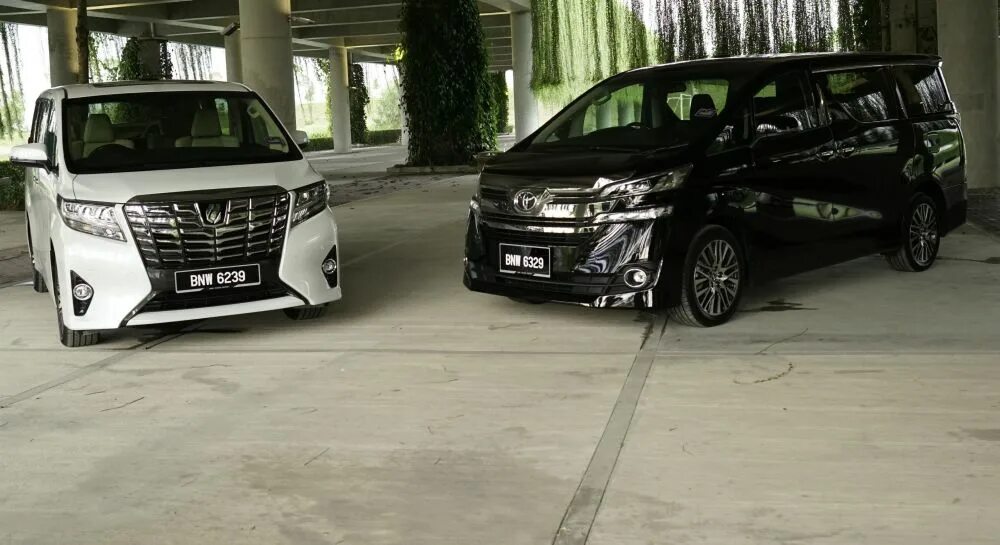 Alphard vs Vellfire. Тойота альфард против Тойота Веллфайр. Two vans Toyota Alphard (two),. Toyota Alphard v.