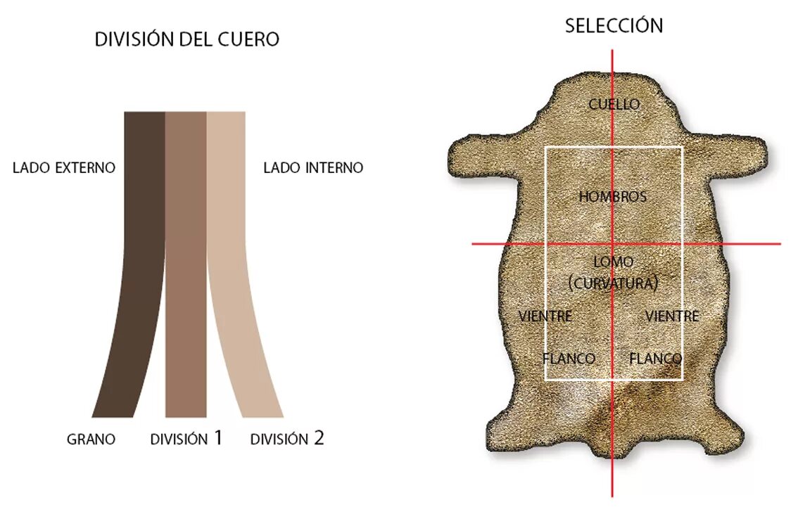 кожа растительного дубления с финишным покрытием. чепрак полукожа. юфть шорно кожа. краст крс что это. кусок кожи.
