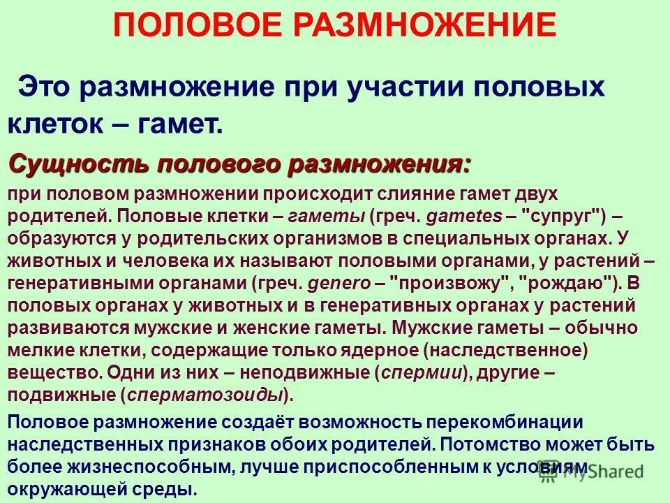 размножение клеток животных. половое размножение сопровождается образованием. стадии полового размножения. типы полового размножения. характеристики полового размножения.