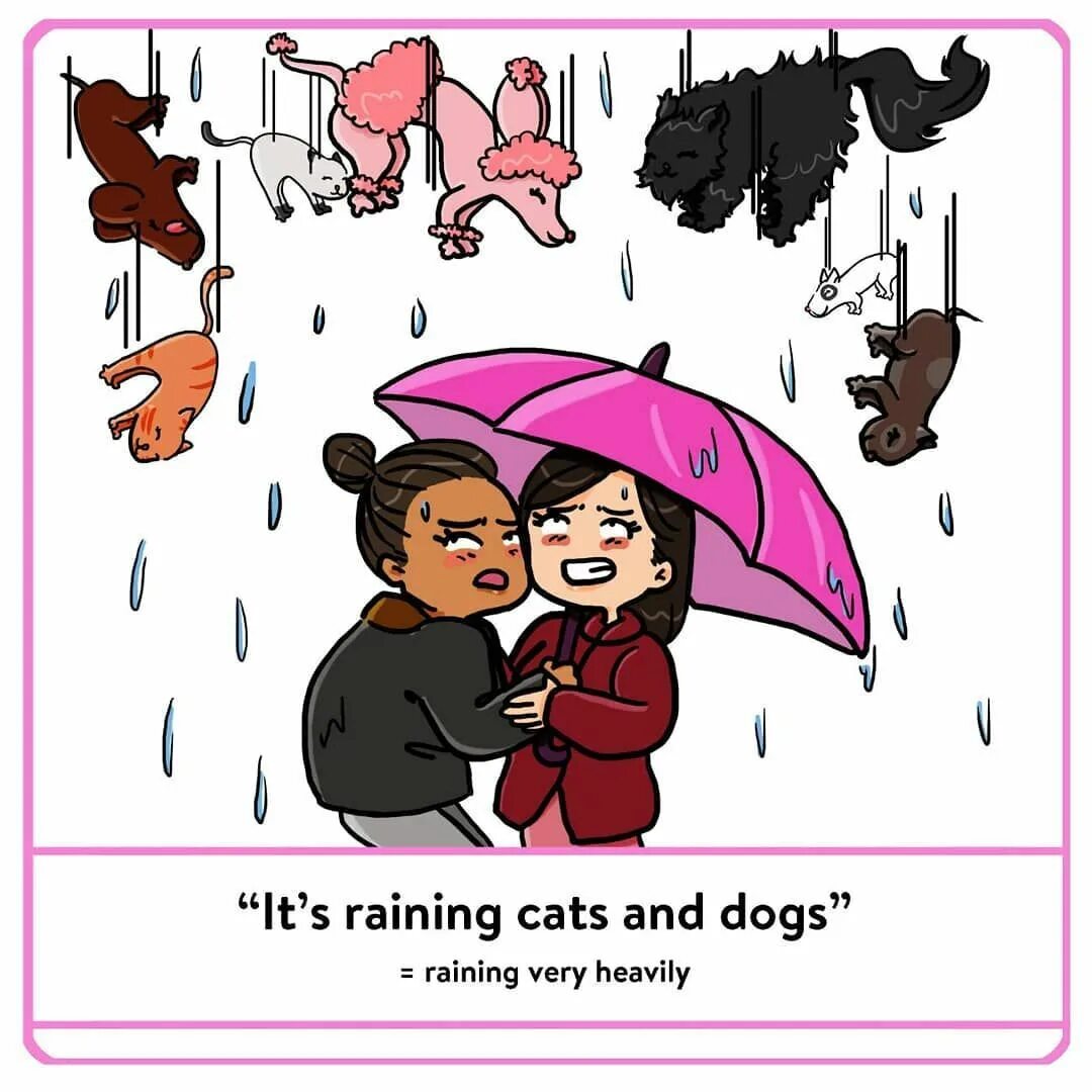 Does it raining перевод. Raining cats and dogs идиома. rain cats and dogs идиома. it is raining cats and dogs идиома. its raining cats and dogs перевод идиома.