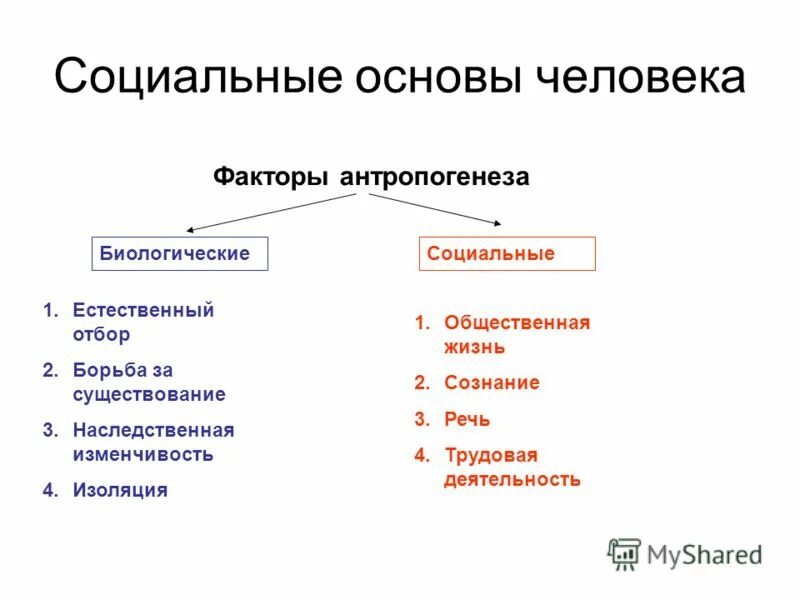 Социально экономические биологические факторы