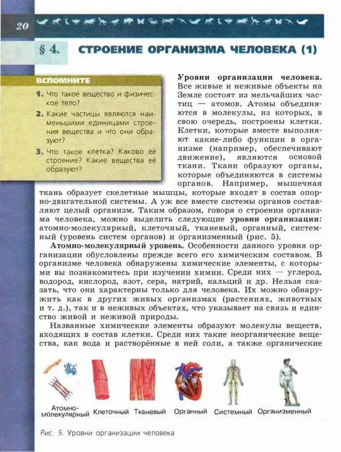 Учебник 8 класс читать. Учебник биологии текст. Учебник по биологии 8 класс. Биология 8 класс учебник Пасечник. Биология 8 класс Пасечник строение организма человека.