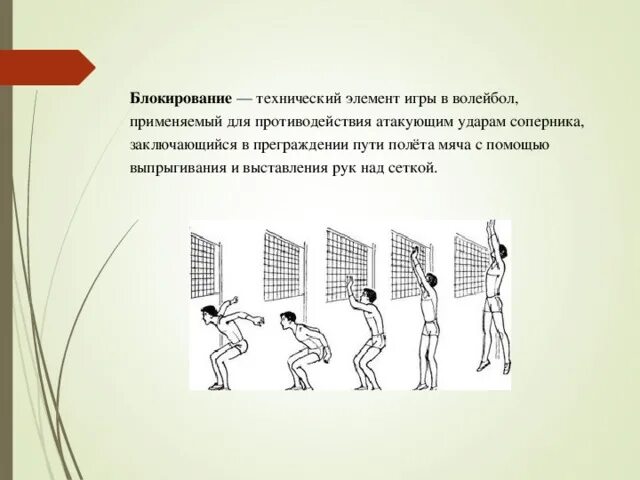 Описание основных технических элементов игры волейбол. Блокирование нападающего удара в волейболе. Технические приемы в волейболе. Фазы выполнения нападающего удара в волейболе.