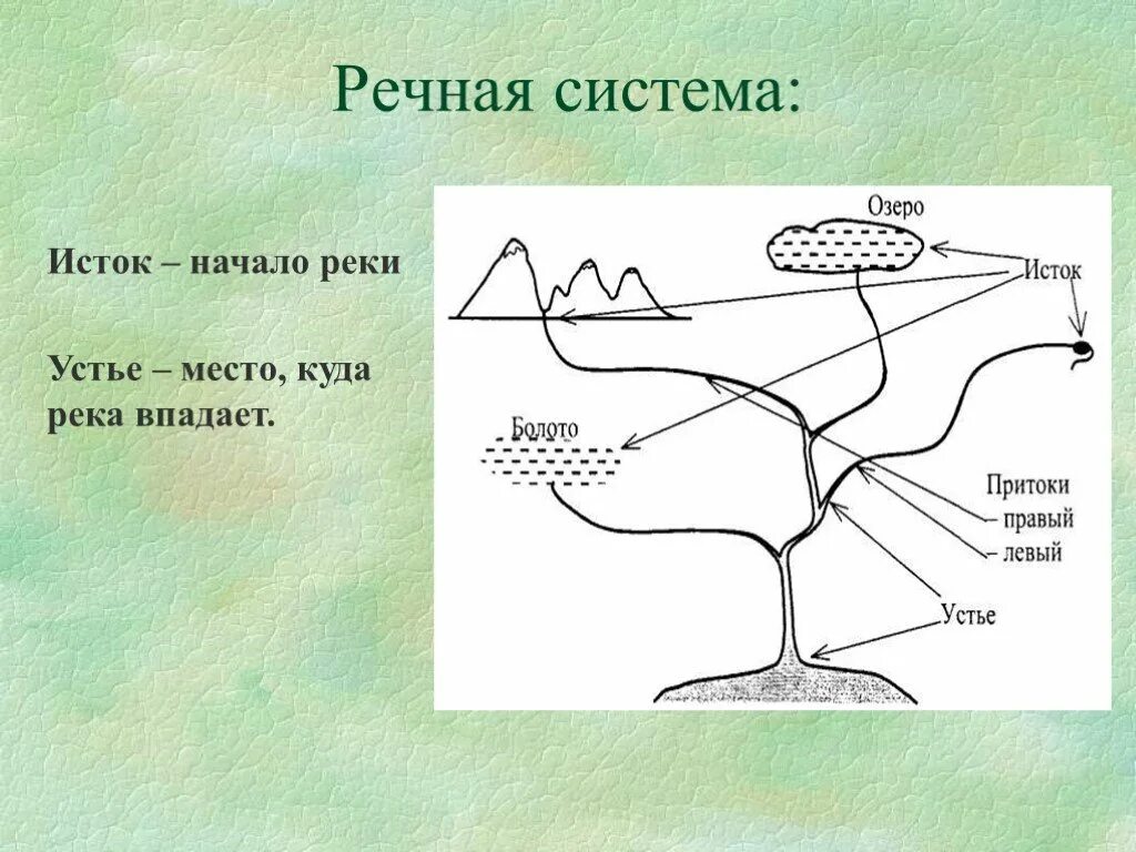 Рисунок речной системы. Схема исток русло устье приток. Строение речной системы. Исток устье русло. Схема реки исток русло устье.
