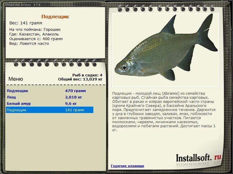 Золотой амур рыба. Карась карпообразные. Рыба из карповых 5 букв сканворд. Вес подлещика. Рыба из карповых 5 букв сканворд.