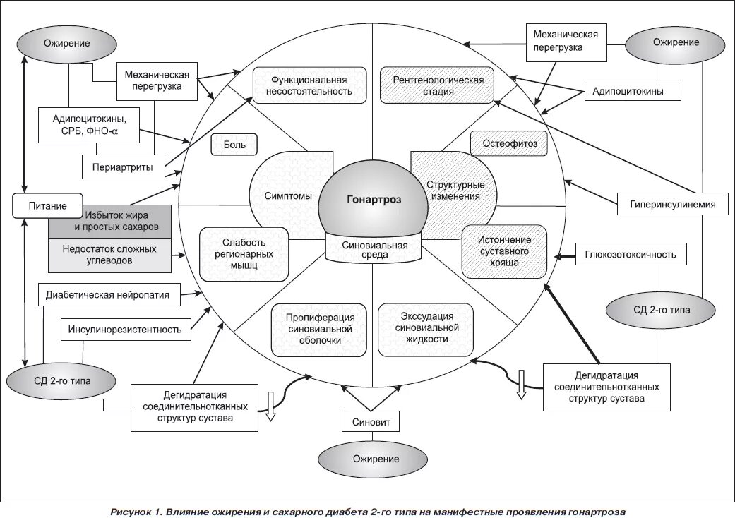 схема ожирения. ожирение алгоритм диагностики. патогенез ожирения схема. механизм развития первичного ожирения. эндокринное ожирение патогенез.