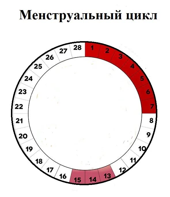 27 цикл месячных. Цикл менструационного цикла. Месячные цикл. Менструальныменструальный Уикд. Женский менструальный цикл.