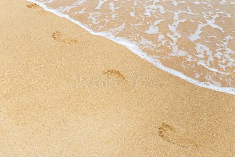 Wet sand читы