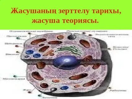 Пойызда ұйықтап жатқан порно