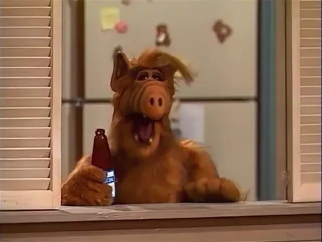 Pin on Gorgeous Alf, Old tv shows, Cartoon