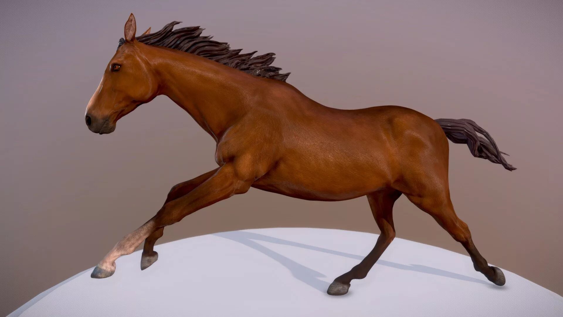 Wiki horses. Лошадь 3д модель. Лошадь 3/4. Лошадь 3д. Лошадь 3d модель.