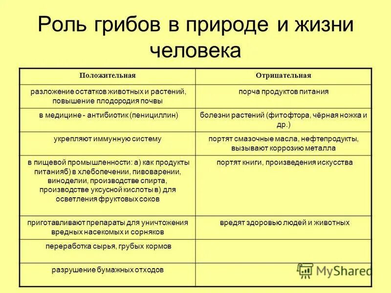 Значение грибов в природе 7 класс биология. Значение грибов в природе и жизни человека 5 класс биология таблица. Отрицательная роль грибов в природе. Значение грибов положительные и отрицательные. Значение грибов в природе и жизни человека таблица 5 класс.