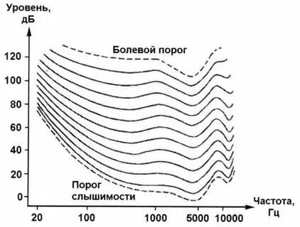 Частота звука воспринимаемая ухом человека