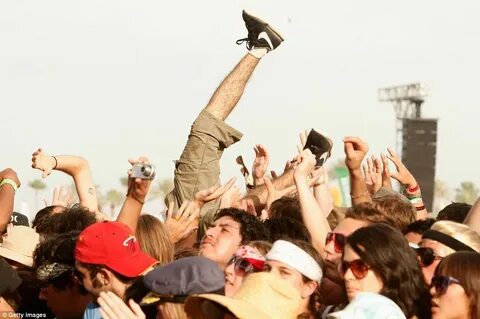 Mosh simulator