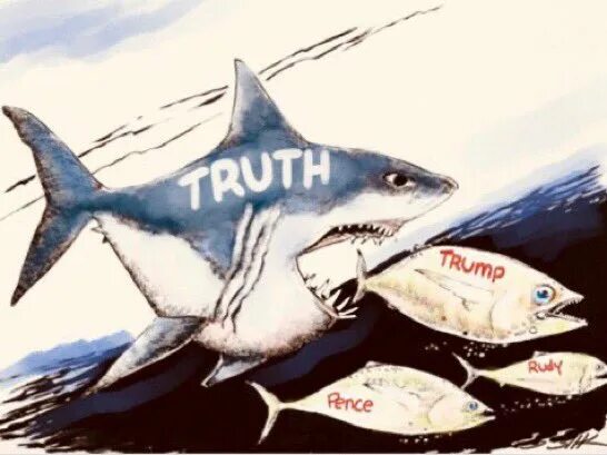 Every lie. Every lie